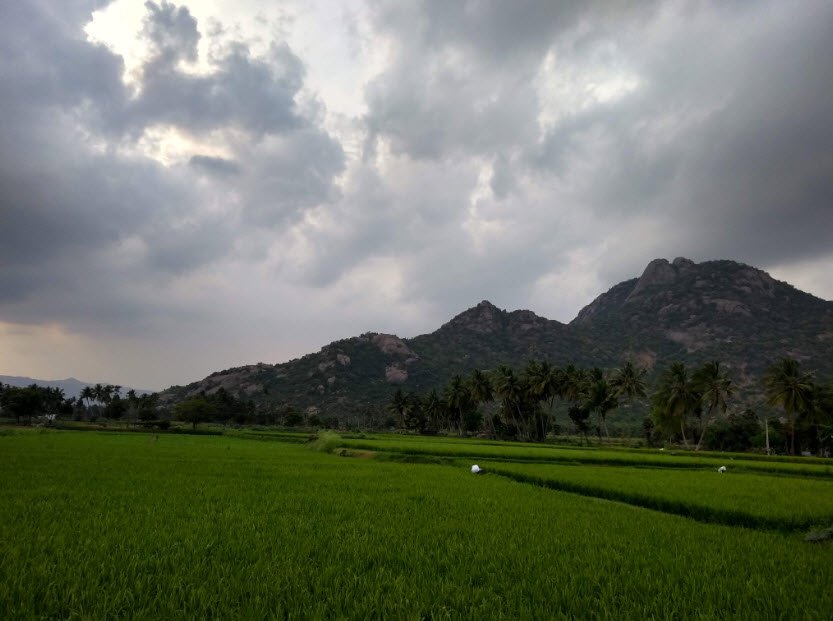 Kalrayan Hills, Kallakurichi, Tamil Nadu - Vushii.com